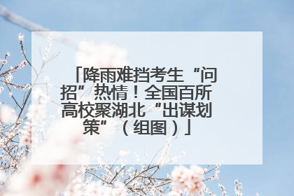 降雨难挡考生“问招”热情！全国百所高校聚湖北“出谋划策”（组图）
